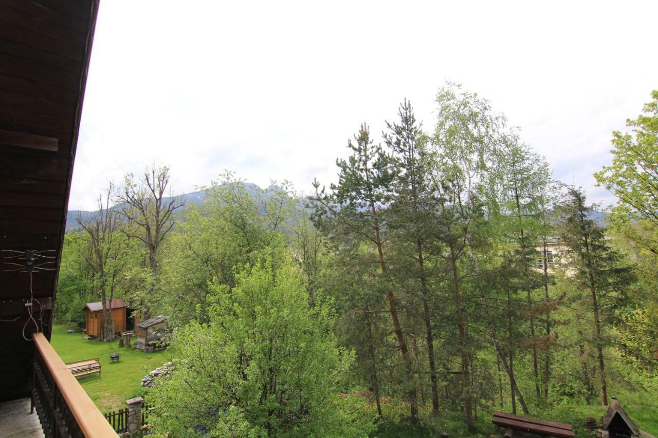 Pokoje Goscinne Wilcznik 12 Zakopane Exterior photo
